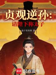 大唐贞观逆孙:请陛下称太子!